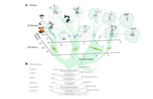 close up view of the TUM robot tree.